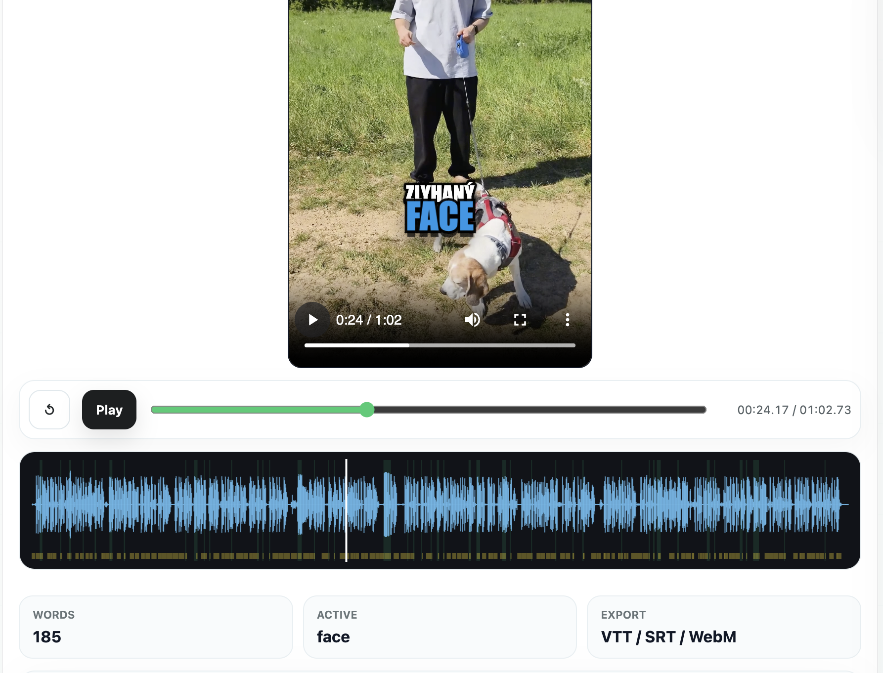 SubtitlAI editor showing a social video, waveform and subtitle export stats